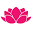 Blume Designs favicon