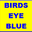 birdseyeblue.com