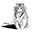 linguisticator.com