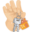 l