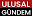 ulusalgundem.com