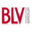 blv-consulting-group.com