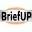 briefup.in