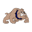burkebulldogs.org