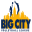 bigcityvolleyball.com