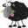 blacksheepsupport.co.uk