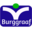 burggraaffd.nl