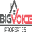 bigvoiceproperties.com