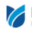 Blueflower Media favicon