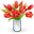 u