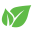bestxonline.xyz