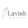 lavishnailsclt.com