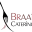 braaf.co.il