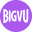 bigvu.tv