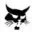 bobcatofrockford.com