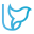u