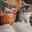 learnaboutcat.com