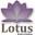 lotus-paterswolde.nl