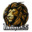 lion55.com