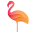 letsflamingo.com