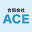 llc-ace.com