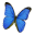 butterflyfuneralsltd.co.uk