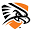 utpbfalcons.com