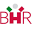 bhrsummerschool.com