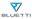 bluetti-forum.de