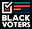 blackvoters.com