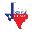 lonestarglass.com