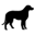 bonjouryao.com