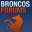 broncosforums.com