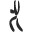 l