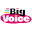 big-voice.co.uk