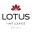 lotushairlounge.com.au