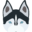 localhusky.com