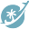 u