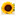 bbsunflower.it