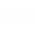 binarybirdtechnologies.in