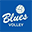 bluesvolley.com