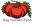 bigtomatotech.com