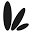 Lighthouse Creative favicon