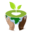 l