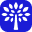 Canopy Connect favicon
