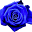 blue-rose-publishing.com