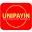 unipayin.com