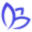 Blue Crocus Solutions favicon