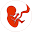 bitlife.online