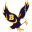 barringtoneaglesathletics.com